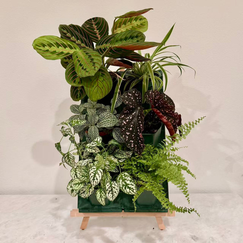 2*3 Plant Stackable Box Stand Set