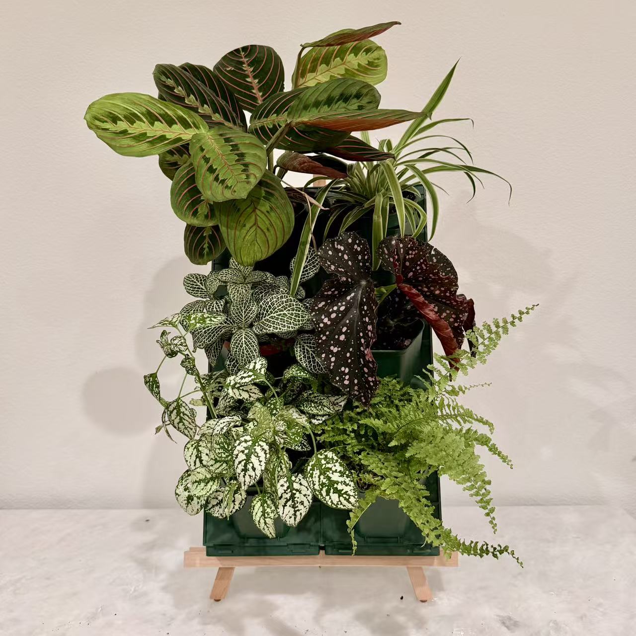 2*3 Plant Stackable Box Stand Set