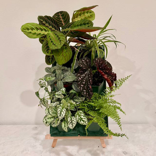 2*3 Plant Stackable Box Stand Set