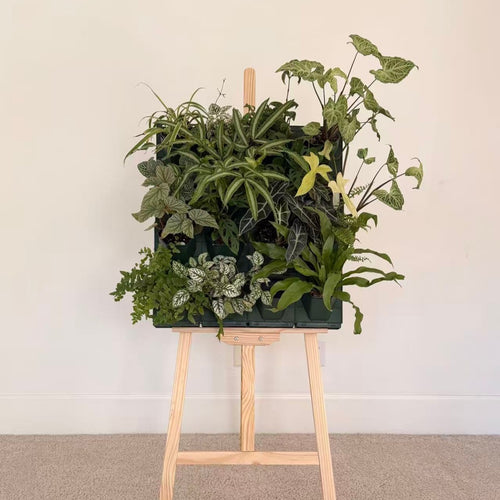 4*4 Plant Stackable Box Stand Set