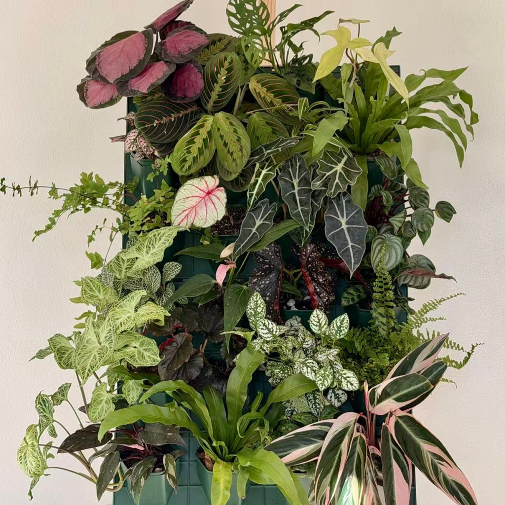 4*6 Plant Stackable Box Stand Set