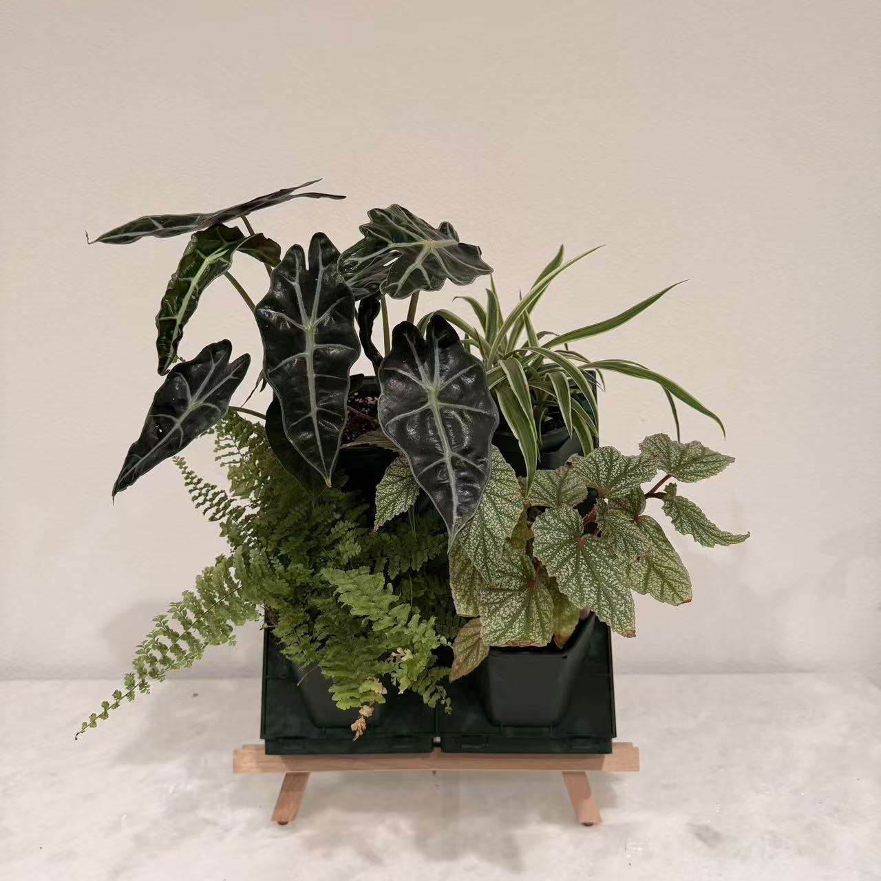 2*2 Plant Stackable Box Stand Set