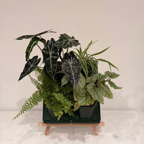 2*2 Plant Stackable Box Stand Set