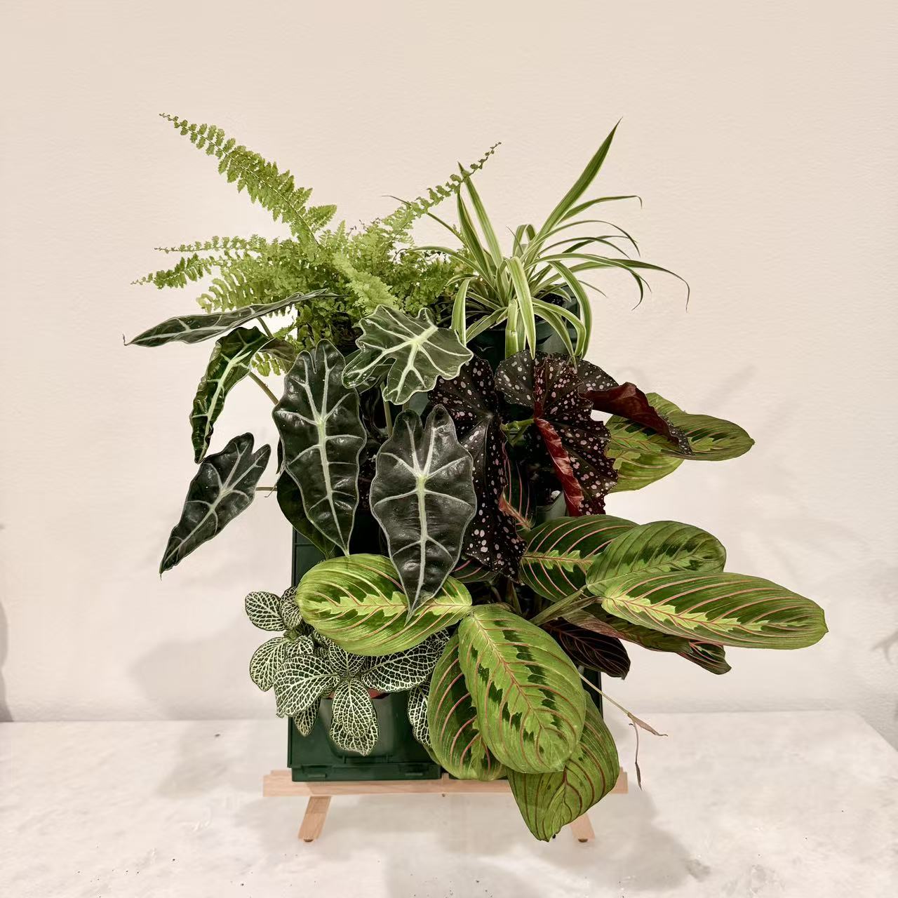 2*2 Plant Stackable Box Stand Set