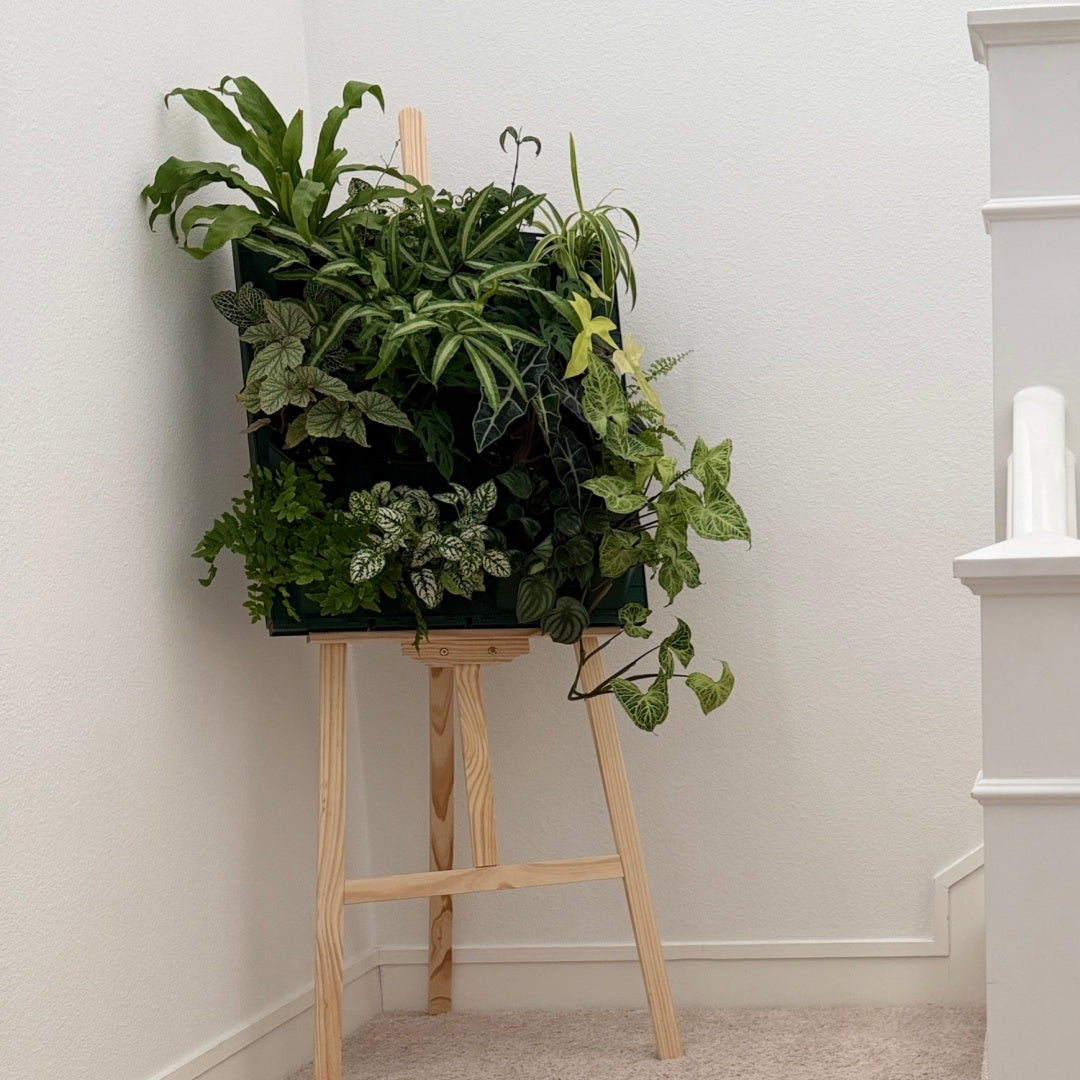 4*4 Plant Stackable Box Stand Set