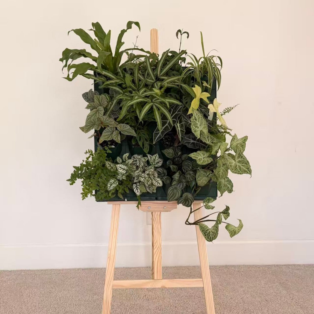 4*4 Plant Stackable Box Stand Set