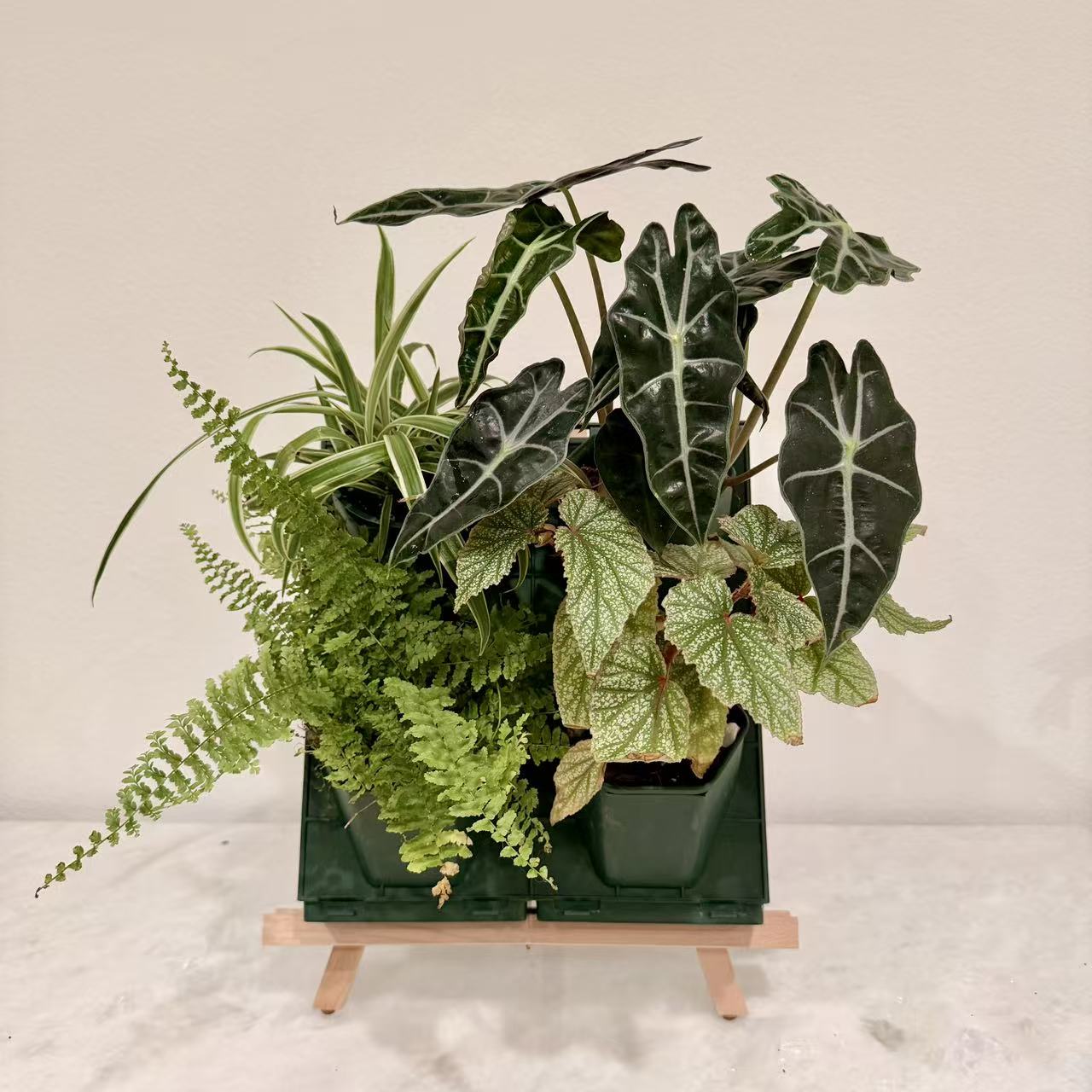 2*2 Plant Stackable Box Stand Set