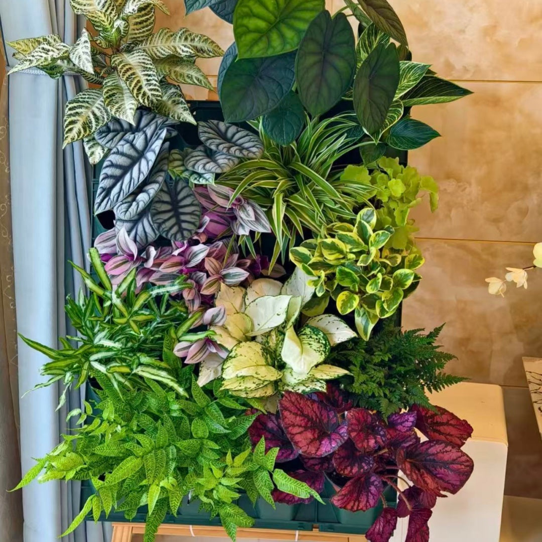 4*6 Plant Stackable Box Stand Set