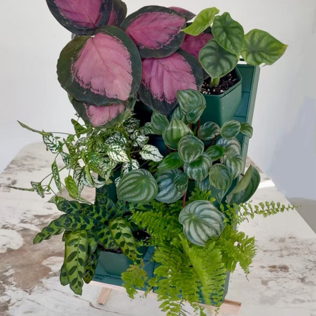 2*3 Plant Stackable Box Stand Set